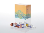 GoTaq® Endure RT-qPCR System, 200 Reactions