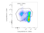 Bright, Highly Recommended CD62L Antibody BUV563 Fluorophore for Flow Cytometry