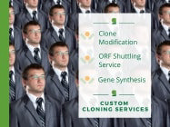 Custom Cloning Services for Advanced Research Solutions