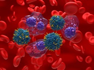 Comparing Autologous and Allogeneic Cell Therapies