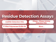 GMP Grade Solutions for Cell and Gene Therapy