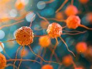 Molecular Dissection of the Tumor Microenvironment Using the Xenium Human Immuno-Oncology Panel