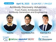 Antibody Discovery Advances: From Public Antibodies to Antibody Generation and Engineering