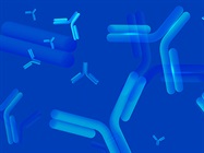 Advanced Antibody Validation Strategies to Ensure Scientific Reproducibility