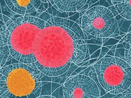 Metabolome-Derived Biomarkers Could Revolutionize Cancer Treatment