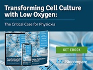 Transforming Cell Culture with Low Oxygen: The Critical Case for Physioxia