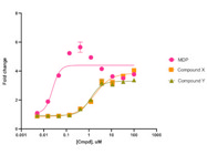 Highly Reliable, Easy to Use NOD2 Reporter Cell Line for the Identification of NOD2 Receptor Activating Ligands