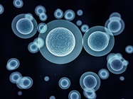 Single-Cell Sorting—Technologies, Applications, and Advances