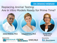 Replacing Animal Testing: Are In Vitro Models Ready for Prime Time?