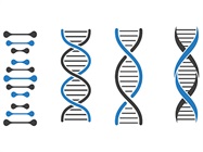 DNA Library Prep from FFPE Samples