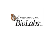 NEBNext UltraExpress® RNA Library Prep Kit