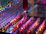 Advancing Transplant Diagnostics to Increase the Success of Organ and Stem Cell Transplantation