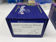 High-Quality Human Adhesion Molecule Array Q1 from RayBiotech