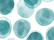Introduction to Single-Cell RNA Sequencing