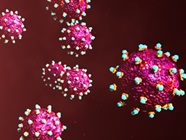 A Review of Viral Vectors in Gene Therapy