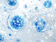 Overcoming Challenges in Exosome Research