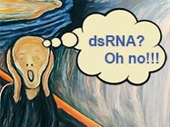 dsRNA in your mRNA samples? Don’t scream!