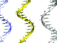 Nucleic Acid Quantification Methods for Difficult Samples