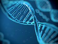 Showdown of DNA quantification methods: Which is best for you?