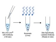 oYo-Link® Oligo Antibody Labeling Reagents