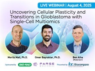 Uncovering Cellular Plasticity and Transitions in Glioblastoma with Single-Cell Multiomics