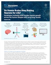 Do Human Brains Keep Making
Neurons for Life?