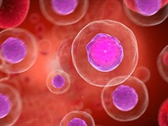 Advances in Spatial Immune Profiling