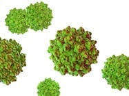 AAV Gene Therapy Recalibrates