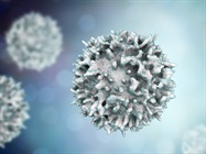 T Cell Markers At a Glance