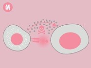 ELISpot & FluoroSpot for next-gen therapies
