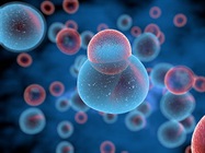 Cell-Based Gene Therapies: Challenges and Advances in Upstream Manufacturing