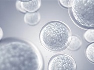 Mesenchymal Stem Cell Therapies Regain Momentum