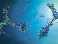 Measuring Endogenous Protein Interactions in Live Cells