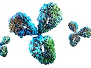 A Practical Guide to High-Titer Monoclonal Antibody Production