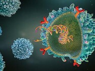 Cell and Gene Therapy