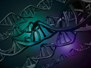Improving Yield and Quality in Nucleic Acid Extraction