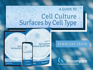 A Guide to Cell Culture Surfaces by Cell Type