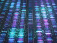 Sequencing Strategies for Understanding and Diagnosing Disease