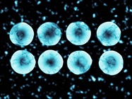 Comparing Single-Cell RNA Sequencing Options