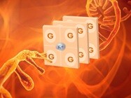 Arraystar rG4 Arrays