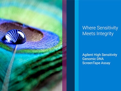 Watch Video: Where Sensitivity Meets Integrity — The New Agilent High Sensitivity Genomic DNA ScreenTape Assay for TapeStation Systems – Interview with Annika Dorn, PhD