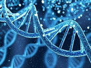 Improving Sequencing Reliability with High Sensitivity Genomic DNA Quality Assessment