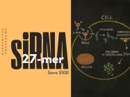 Unlock Powerful Gene Silencing — Save $100 with SR100