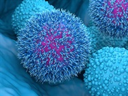 The Growing Importance of Digital PCR in Research