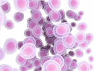 Expert Guide to Extracellular Matrices