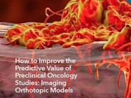 Imaging Orthotopic and Metastatic Preclinical Tumor Models