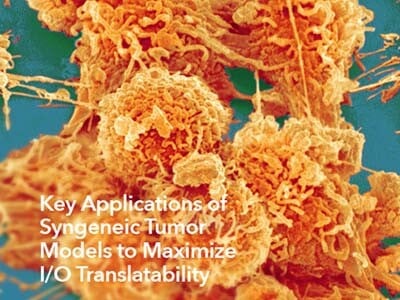 Optimizing Syngeneic Translatability through POC and Target Engagement Studies