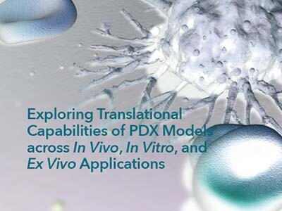 Exploring Translational Capabilities of PDX Models across In Vivo, In Vitro, and Ex Vivo Applications