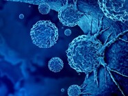 Cell Line-Derived Xenograft (CDX) Models