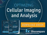 Optimizing Cellular Imaging and Analysis